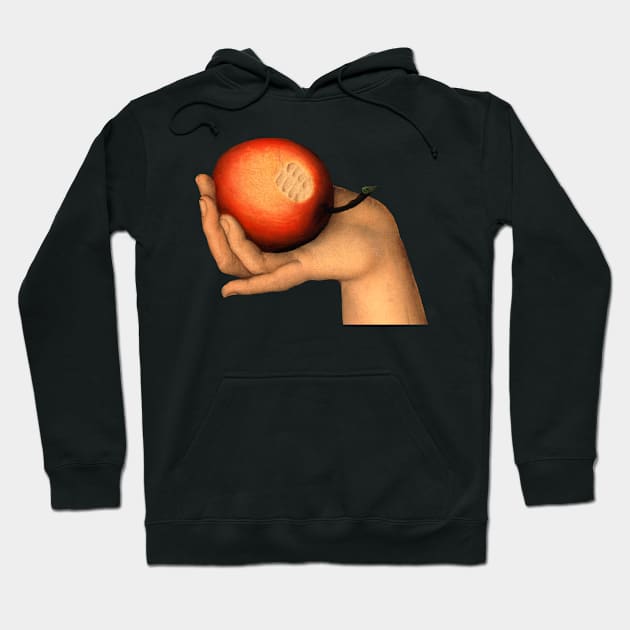 An Apple (Forbidden fruit) - Lucas Cranach Hoodie by ArtOfSilentium